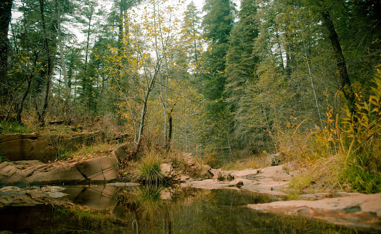 calm water trek free photo