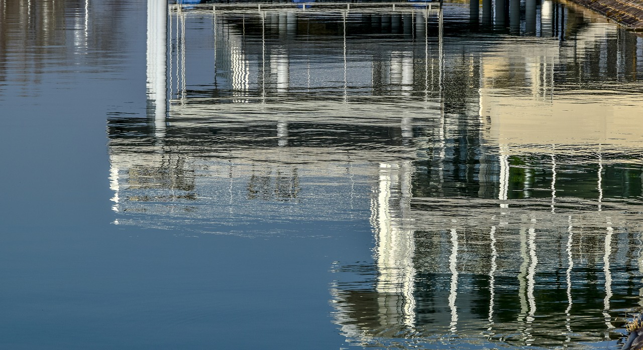 calm lake mirror free photo