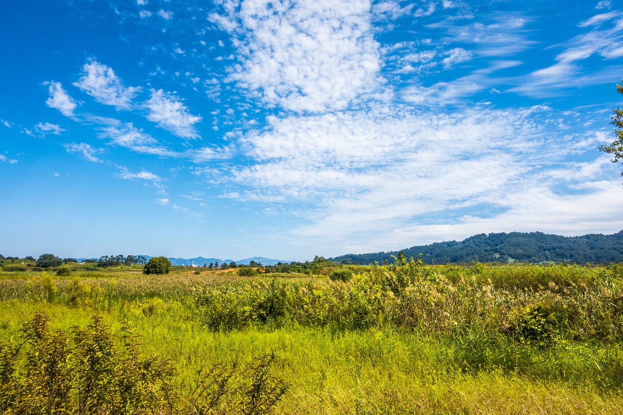 calm cloud daytime free photo