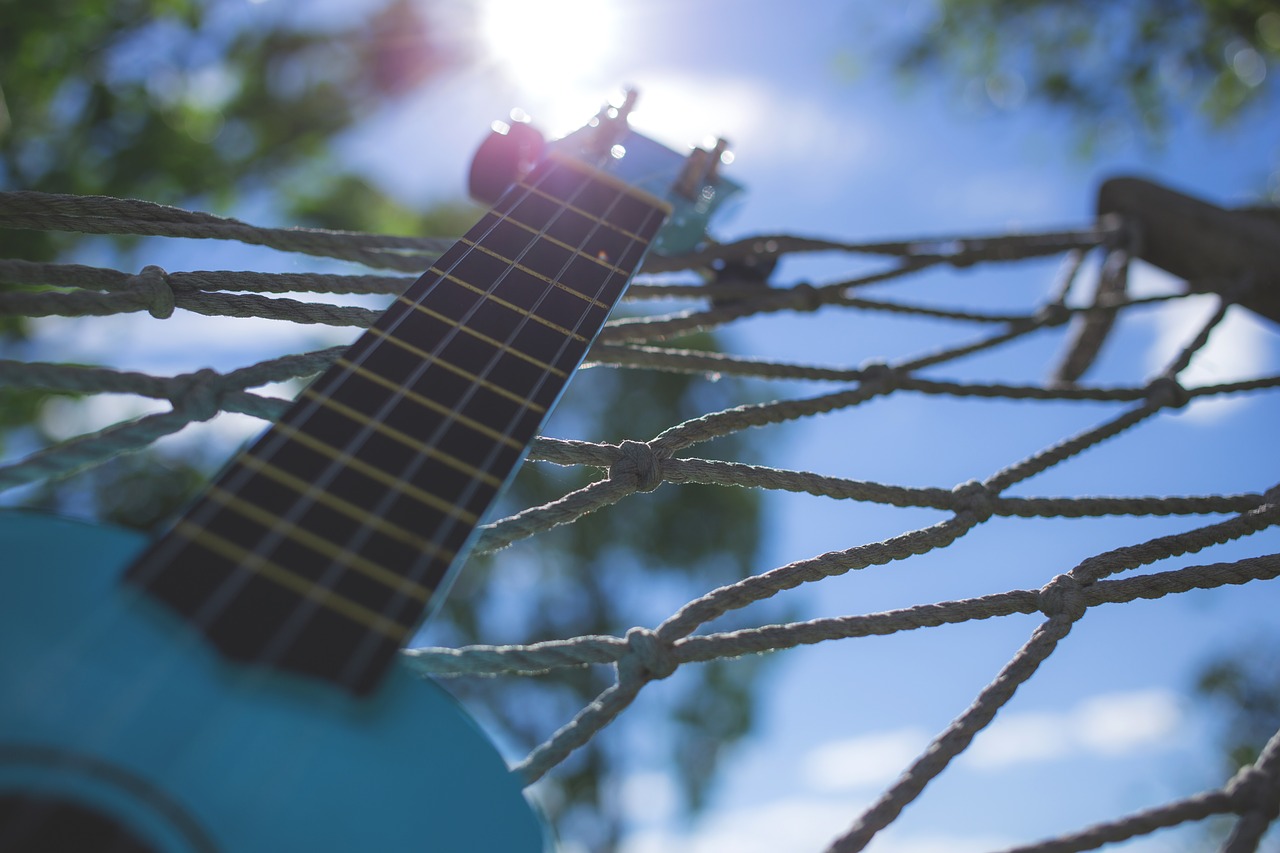 calm green hammock free photo