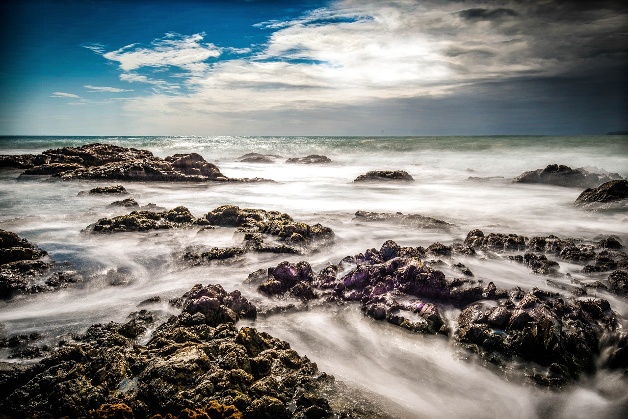 calm sea sea rocks wellington free photo