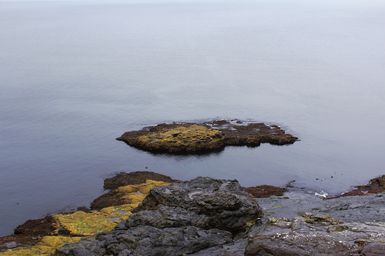 calm seas  holm  vidoy free photo