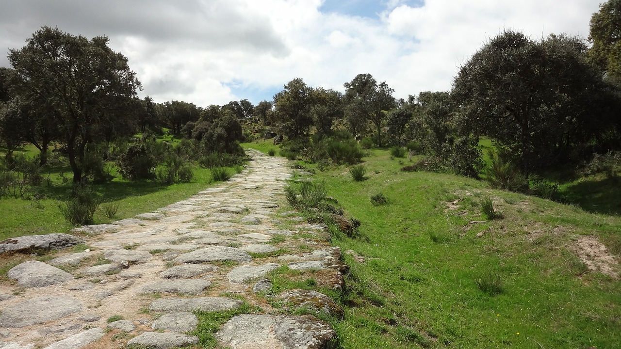 calzada romana landscape oaks free photo