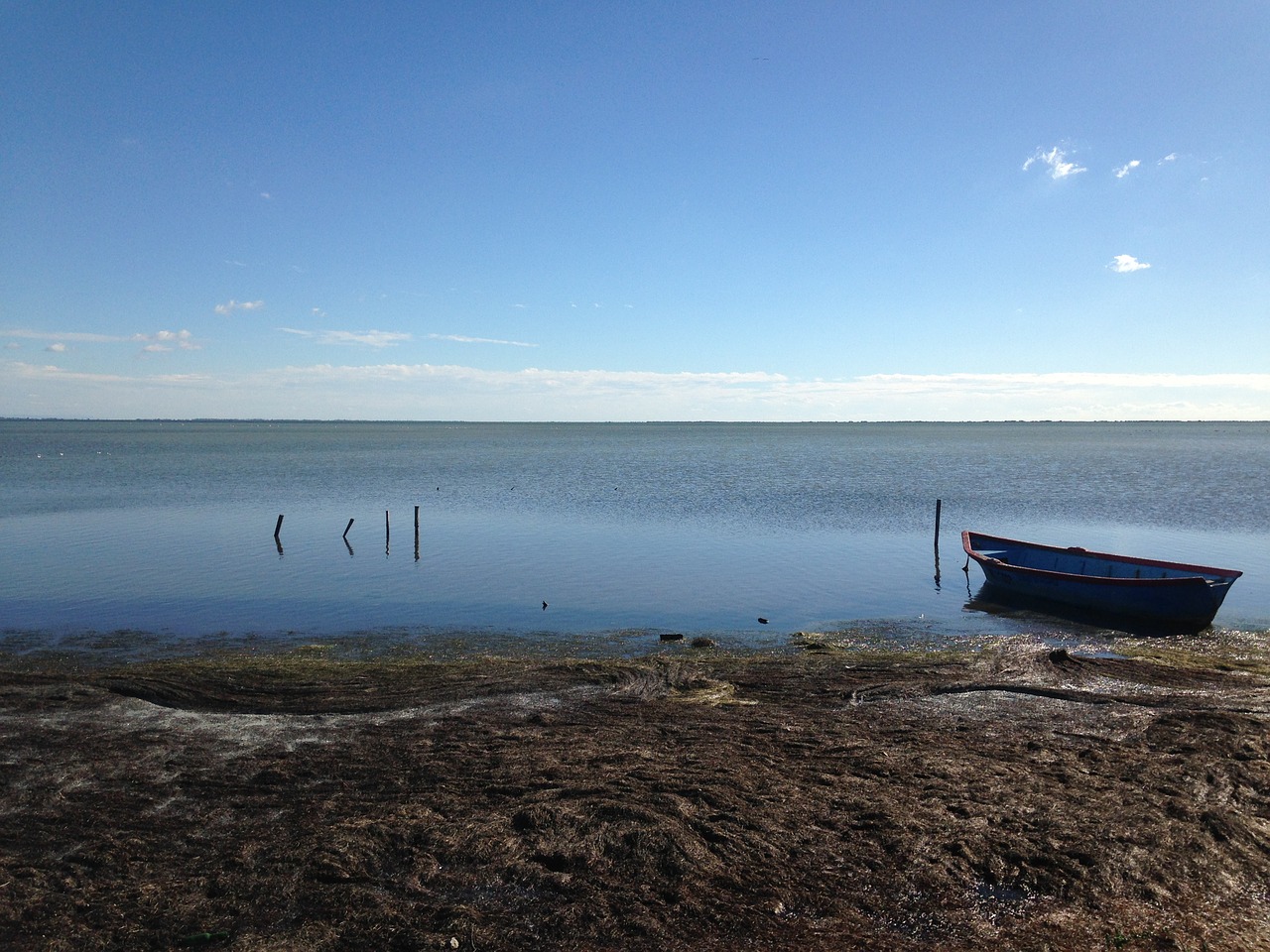 camargue pond boat free photo