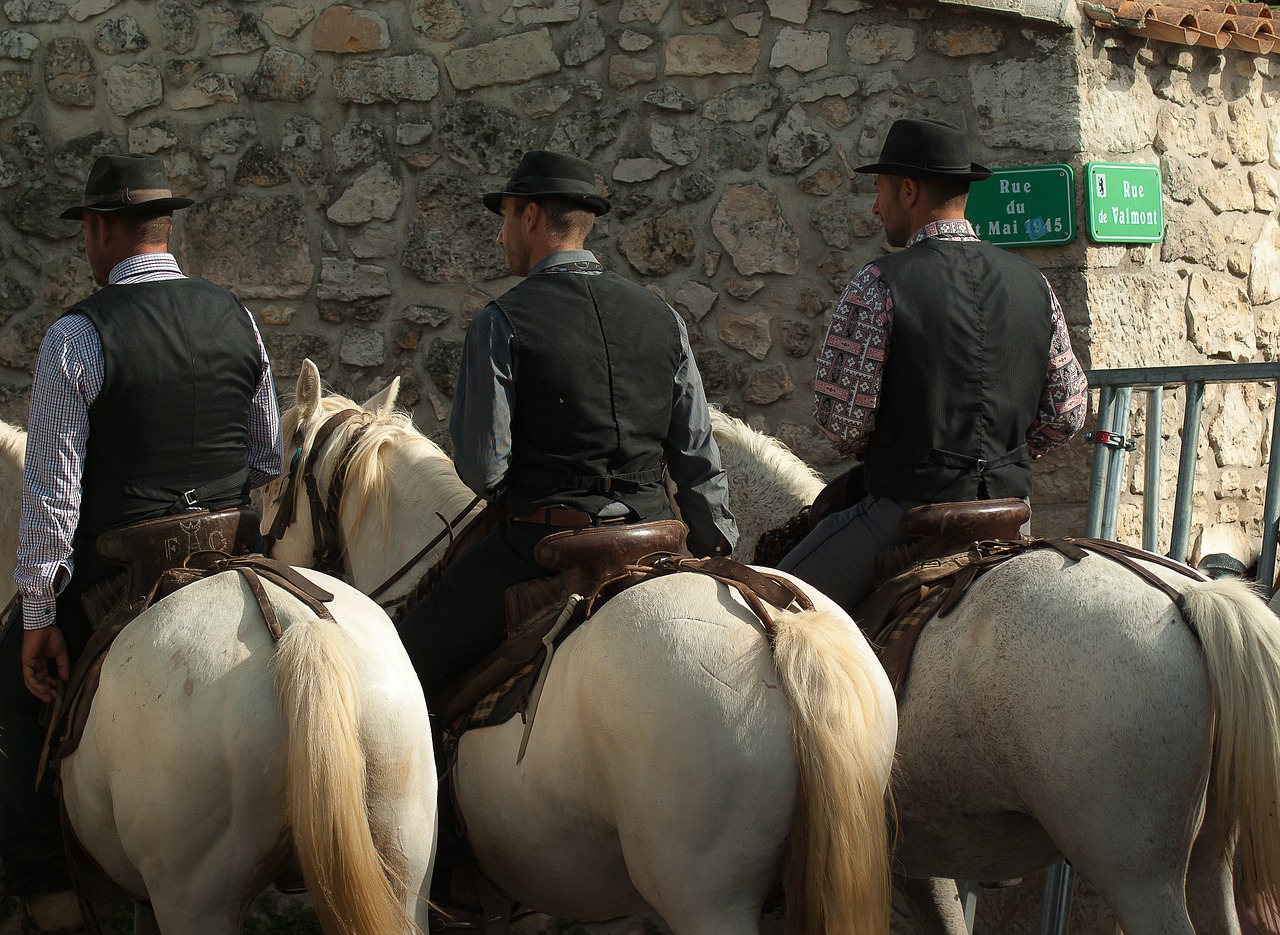 camargue gardians horses free photo