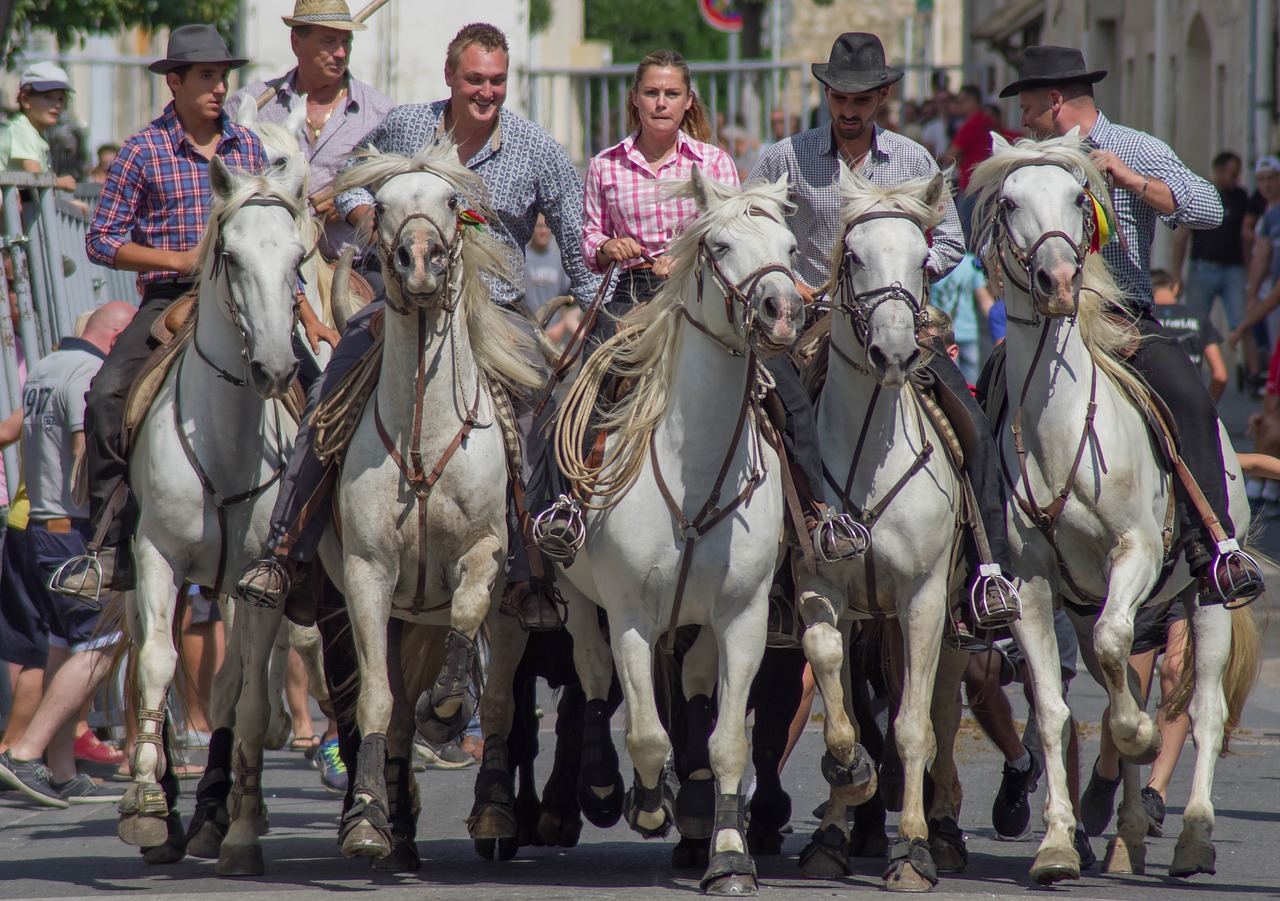 camargue  horses  riders free photo