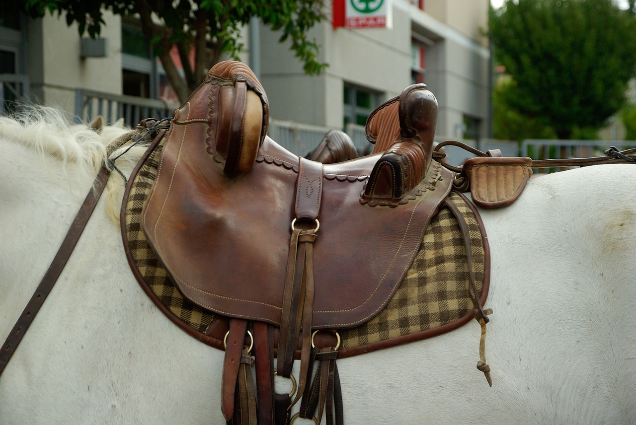 camargue horse saddle free photo
