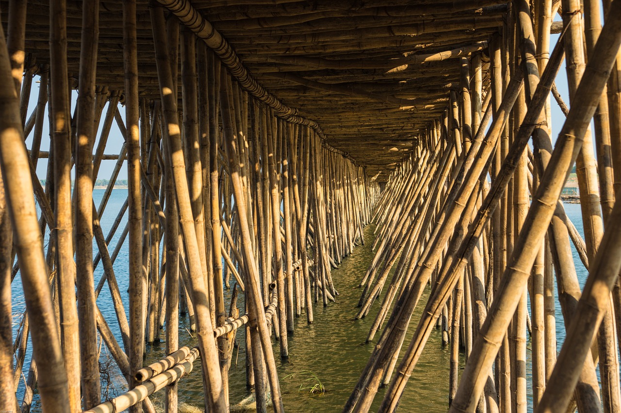 cambodia kampong cham bamboo free photo