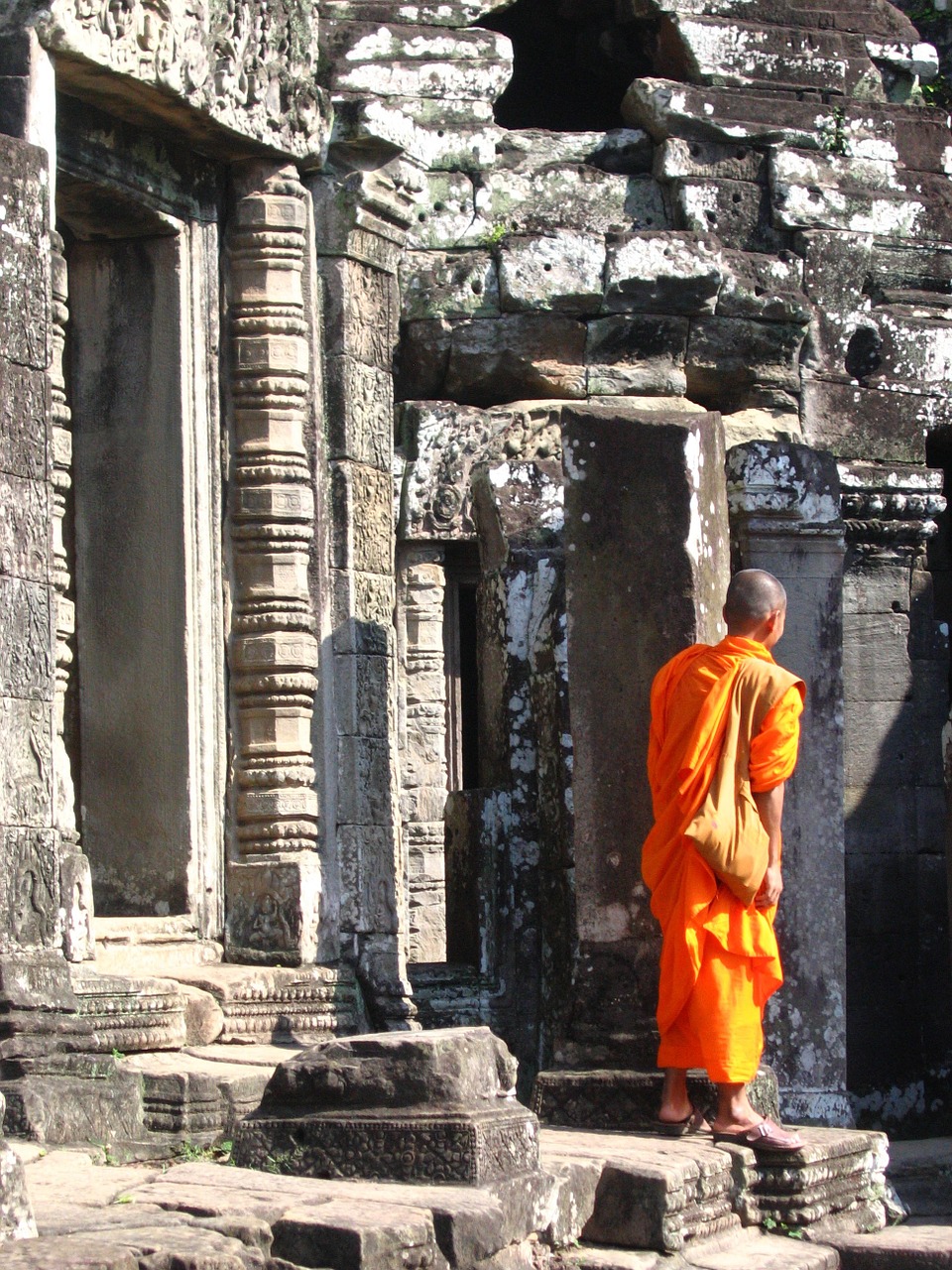 cambodia monk ankor wat free photo