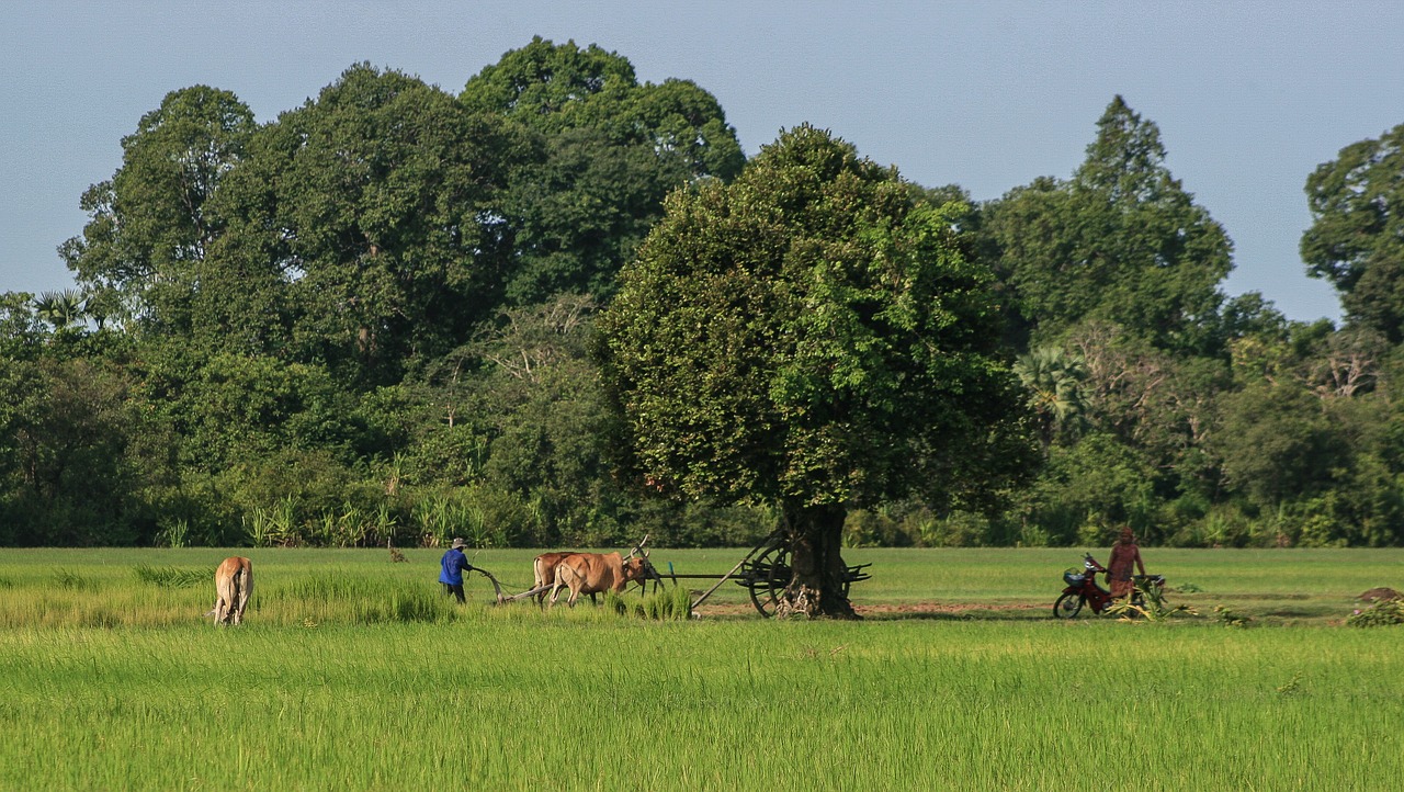 agriculture field work free photo