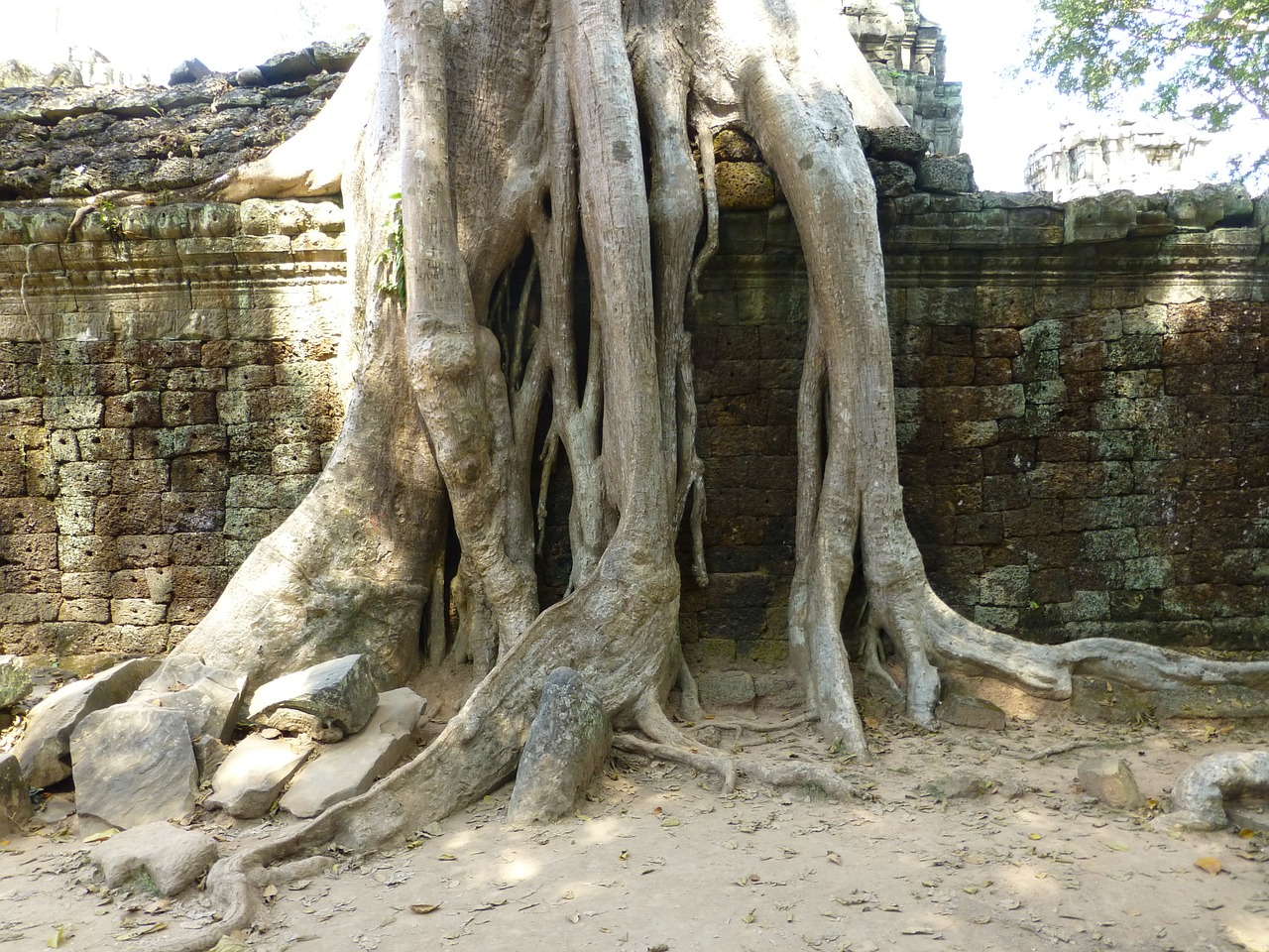 cambodia temple siem reap free photo