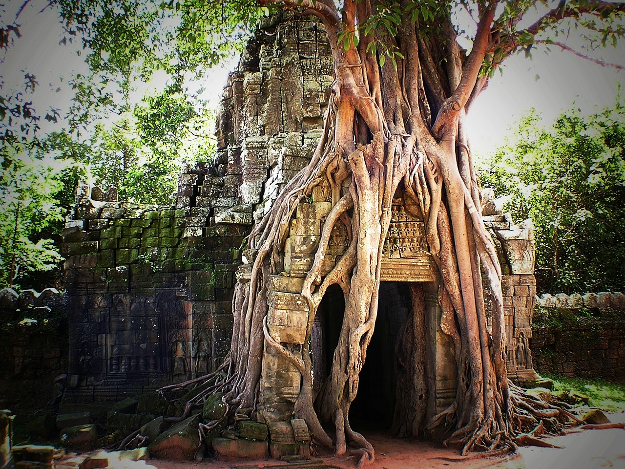 cambodia angkor asia free photo
