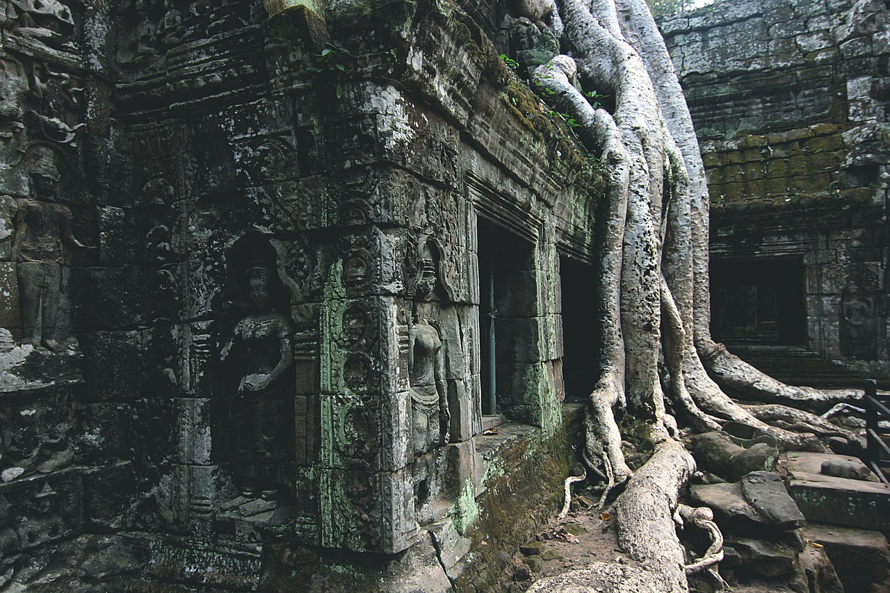 cambodia temple tree free photo