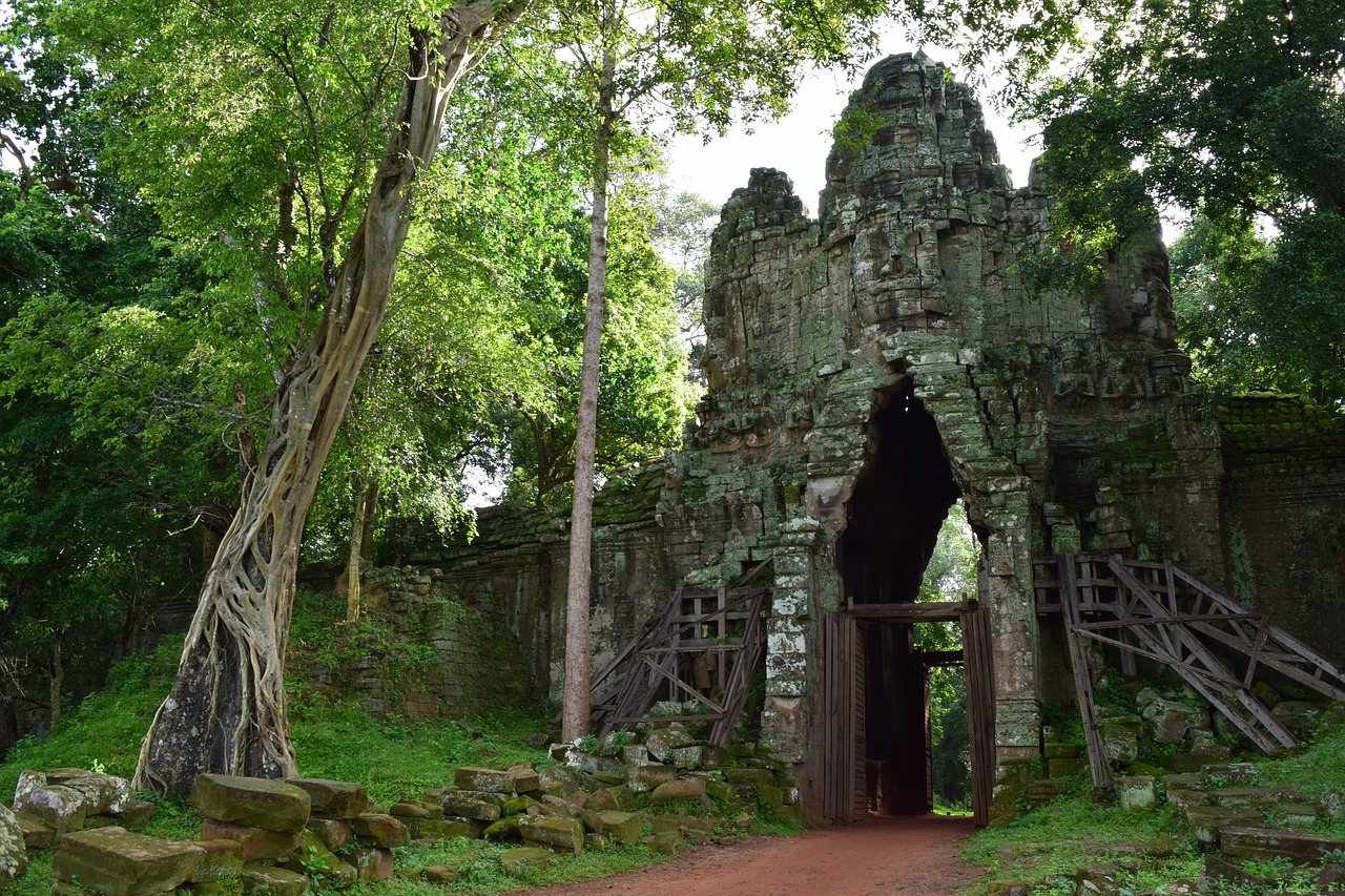 cambodia jungle goal free photo