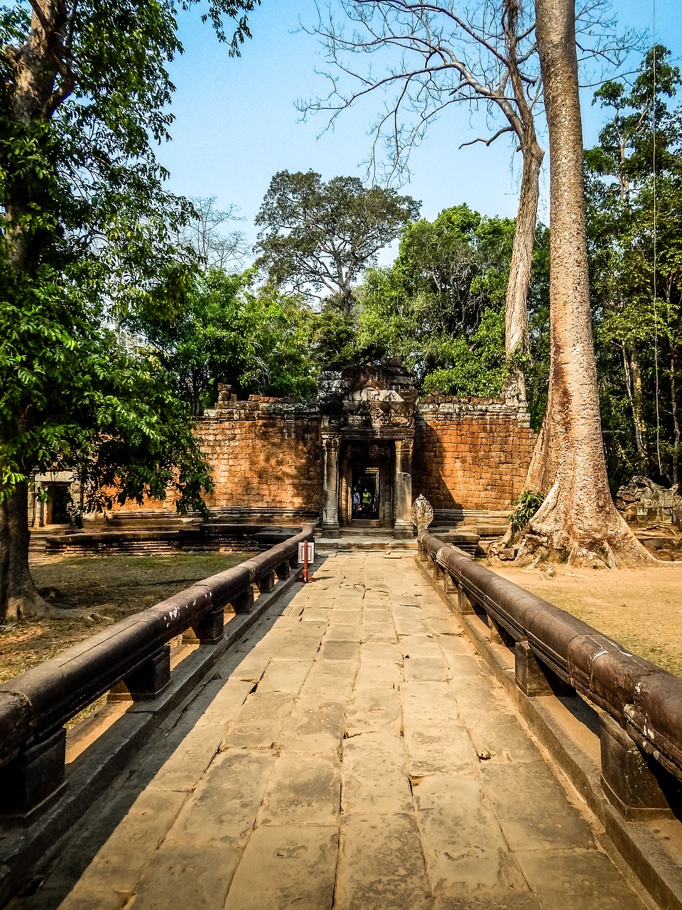 cambodia temple asia free photo