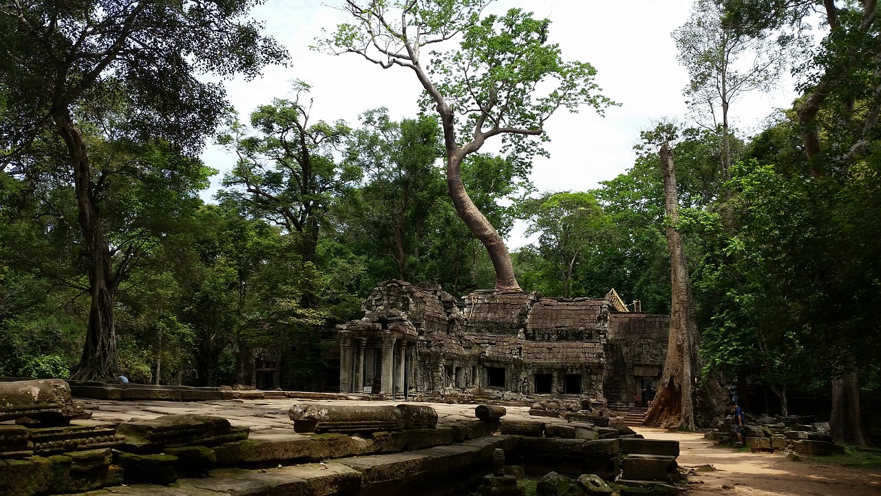 cambodia temple roots free photo