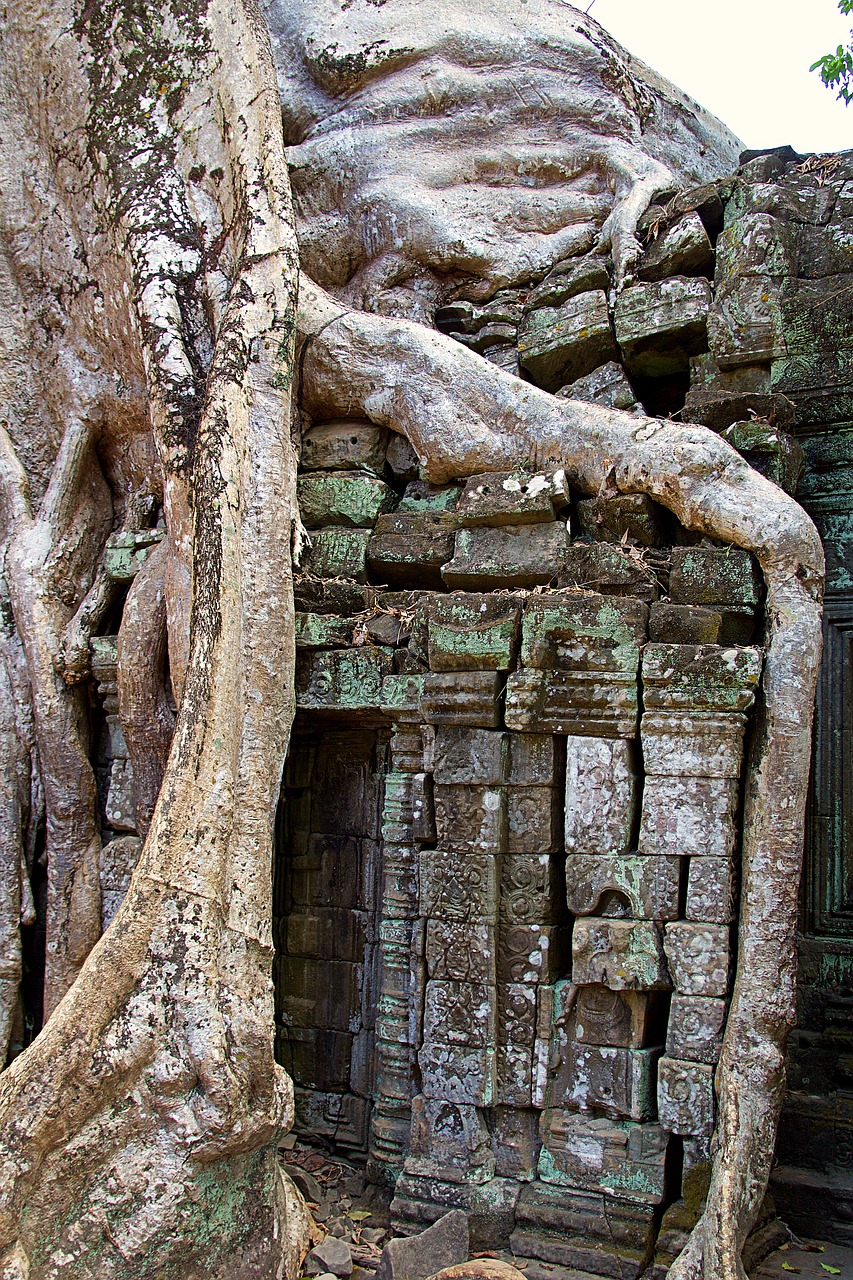 cambodia siem reap angkor wat free photo