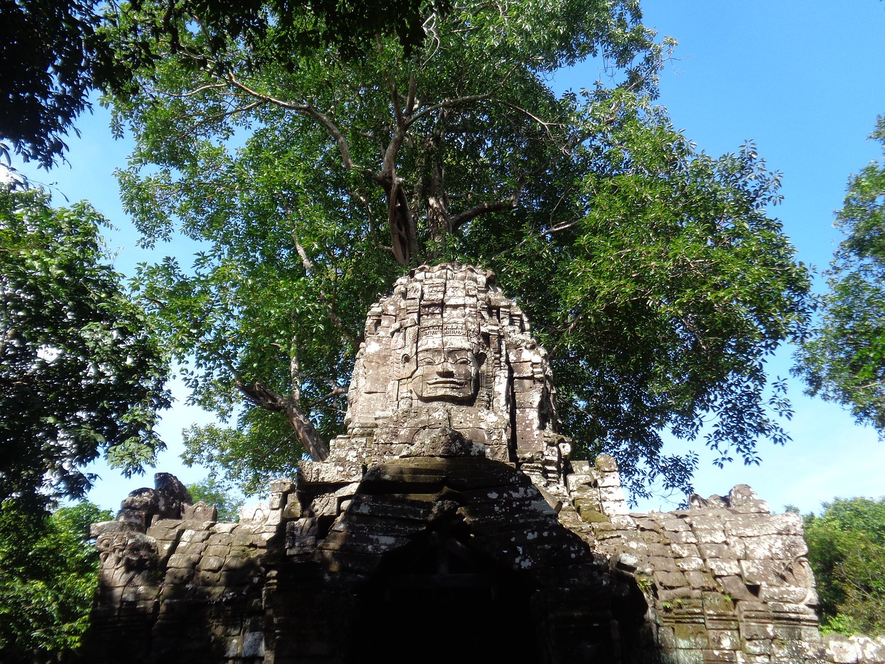 cambodia ruins trees free photo