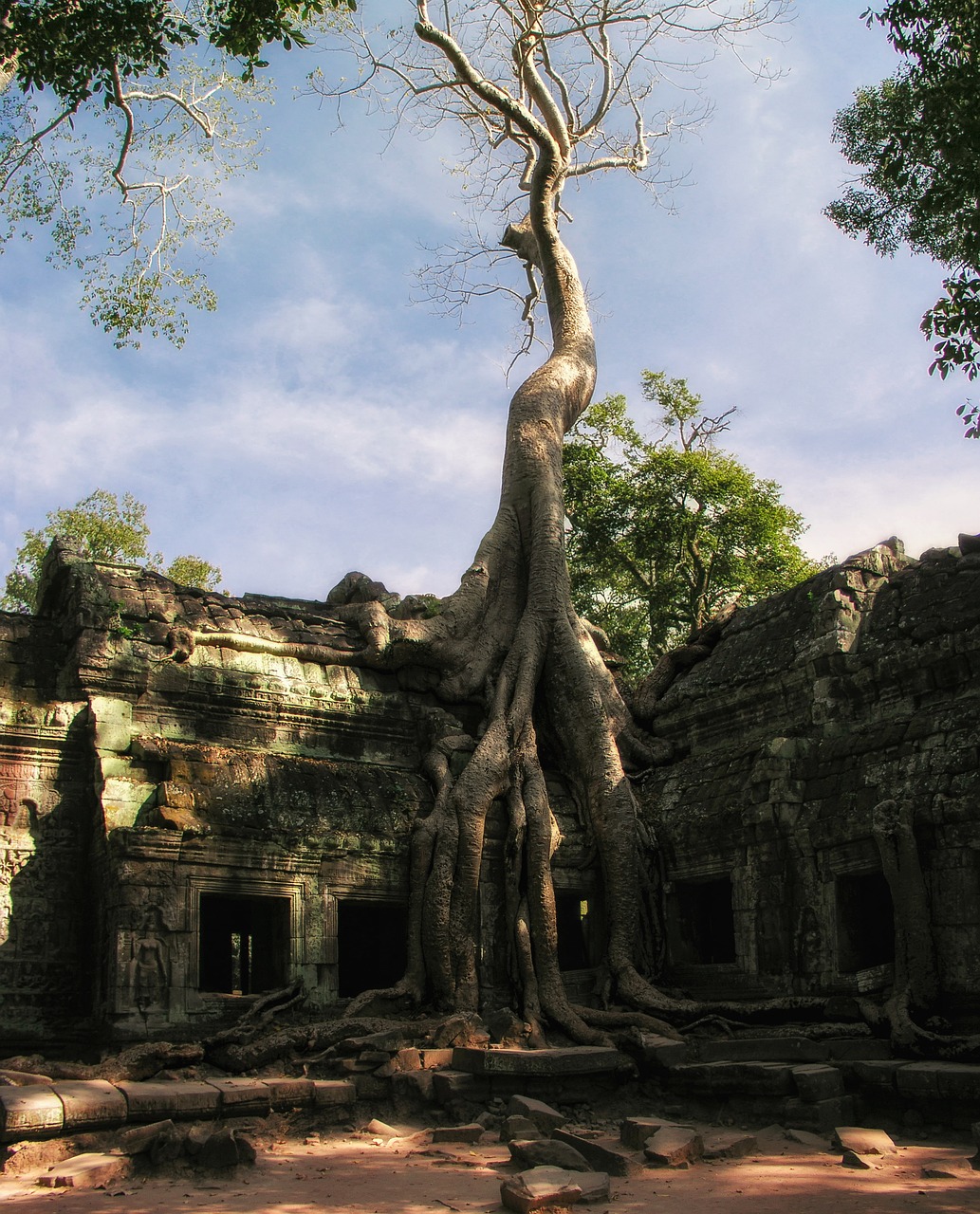 cambodia prohm ta prohm free photo