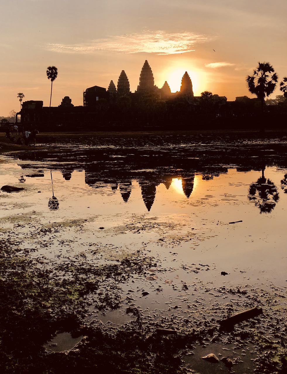 cambodia  angkor  wat free photo