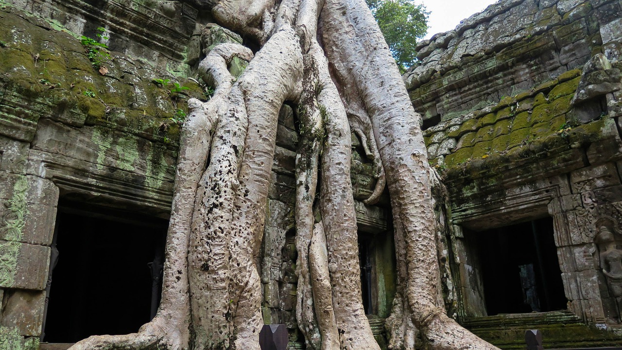 cambodia angkor temple free photo