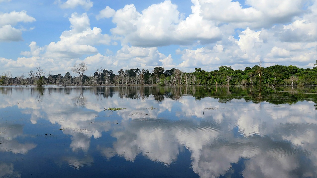 cambodia angkor temple free photo