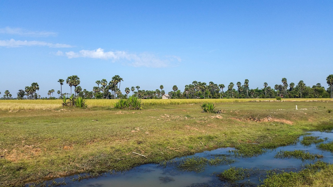 cambodia asia siem reap free photo