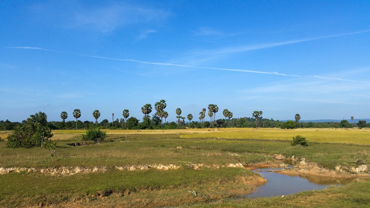 cambodia asia siem reap free photo