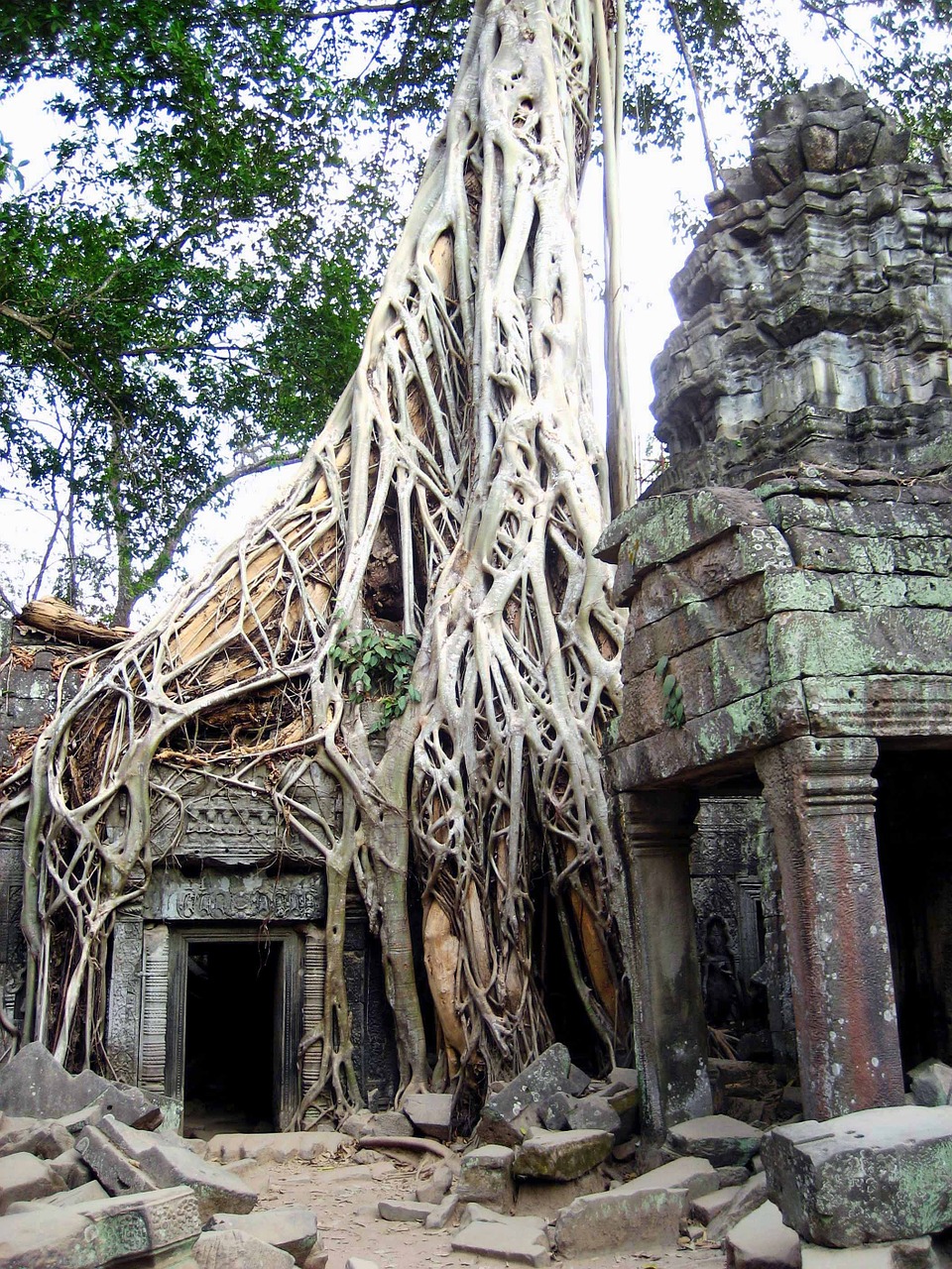 cambodia ruins ancient free photo