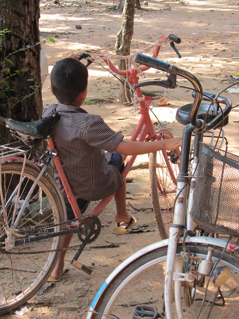 cambodia child bicycle free photo