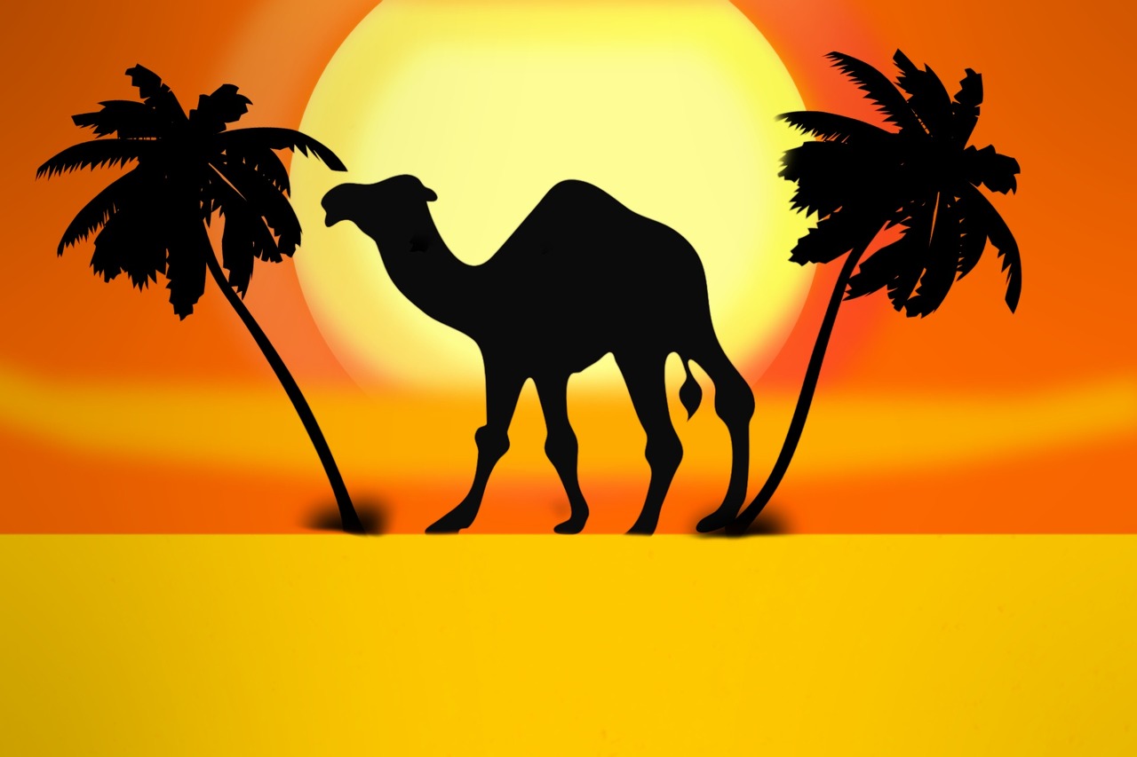 camel palm desert free photo