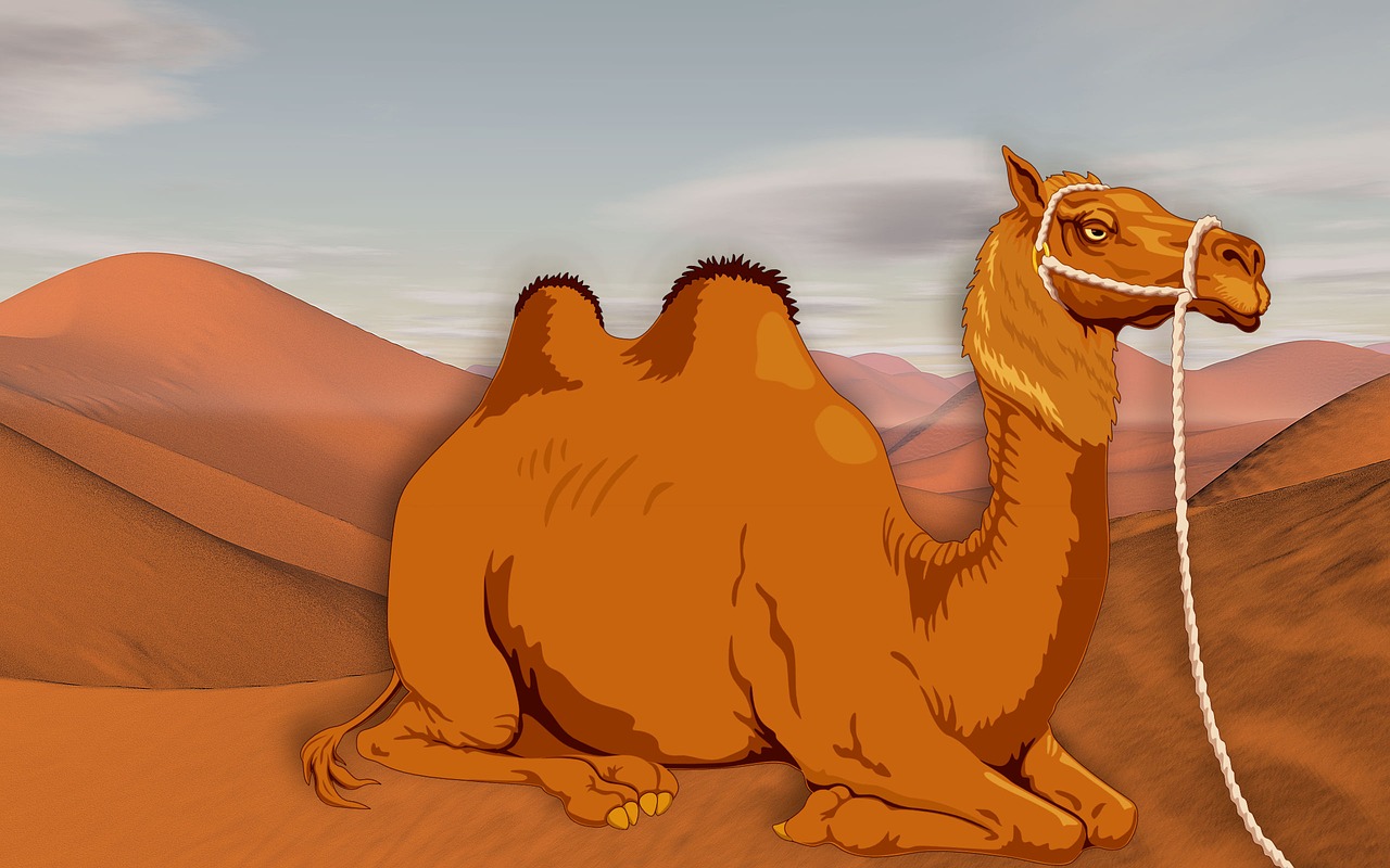 camel desert dunes free photo