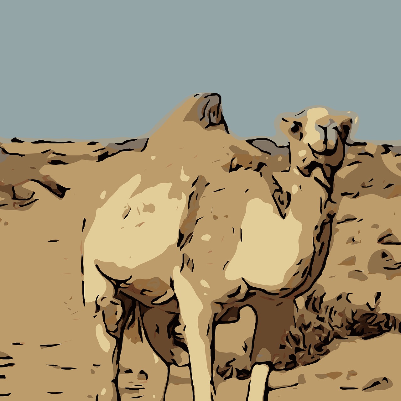 camel drawing desert free photo