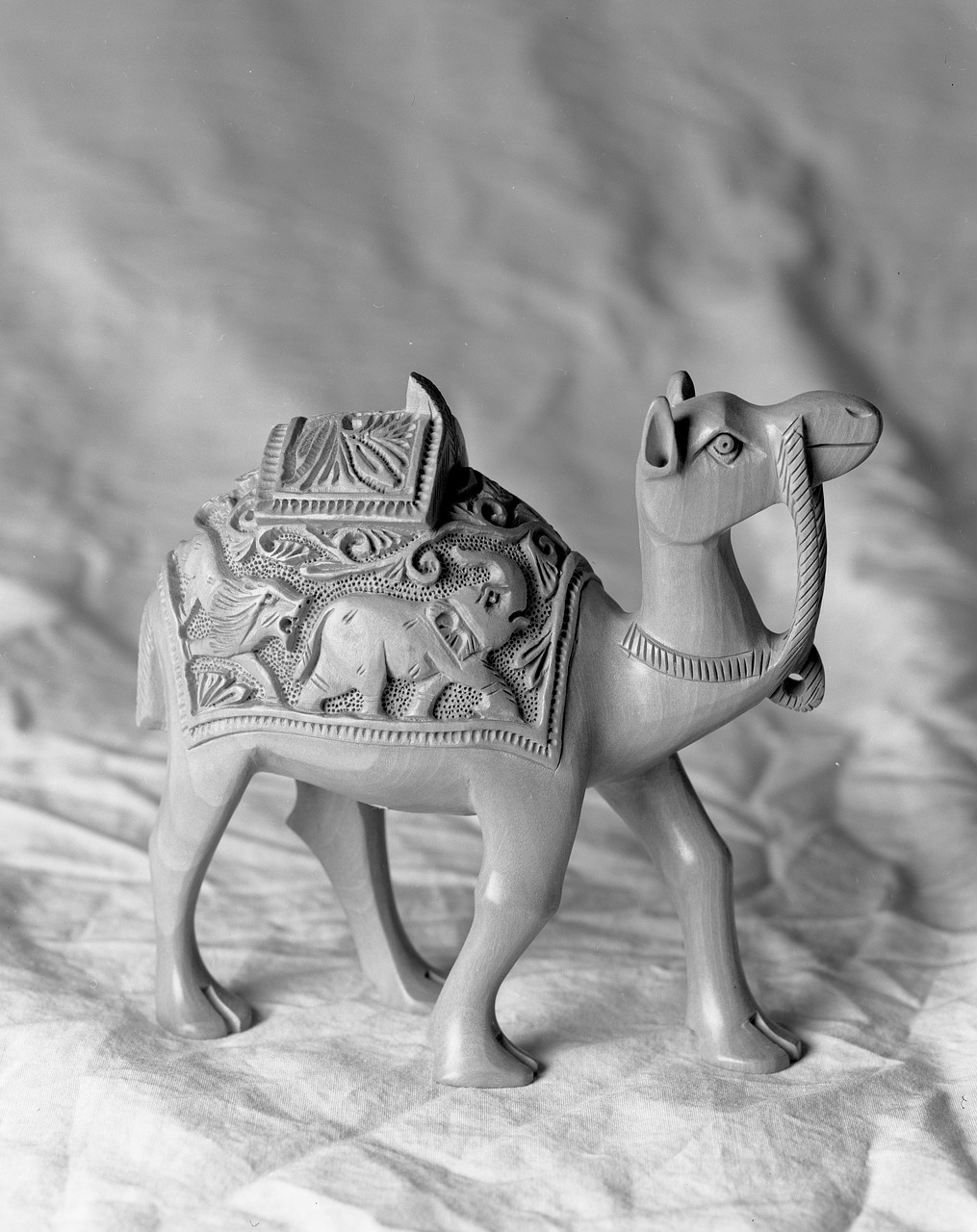 camel black and white figure free photo
