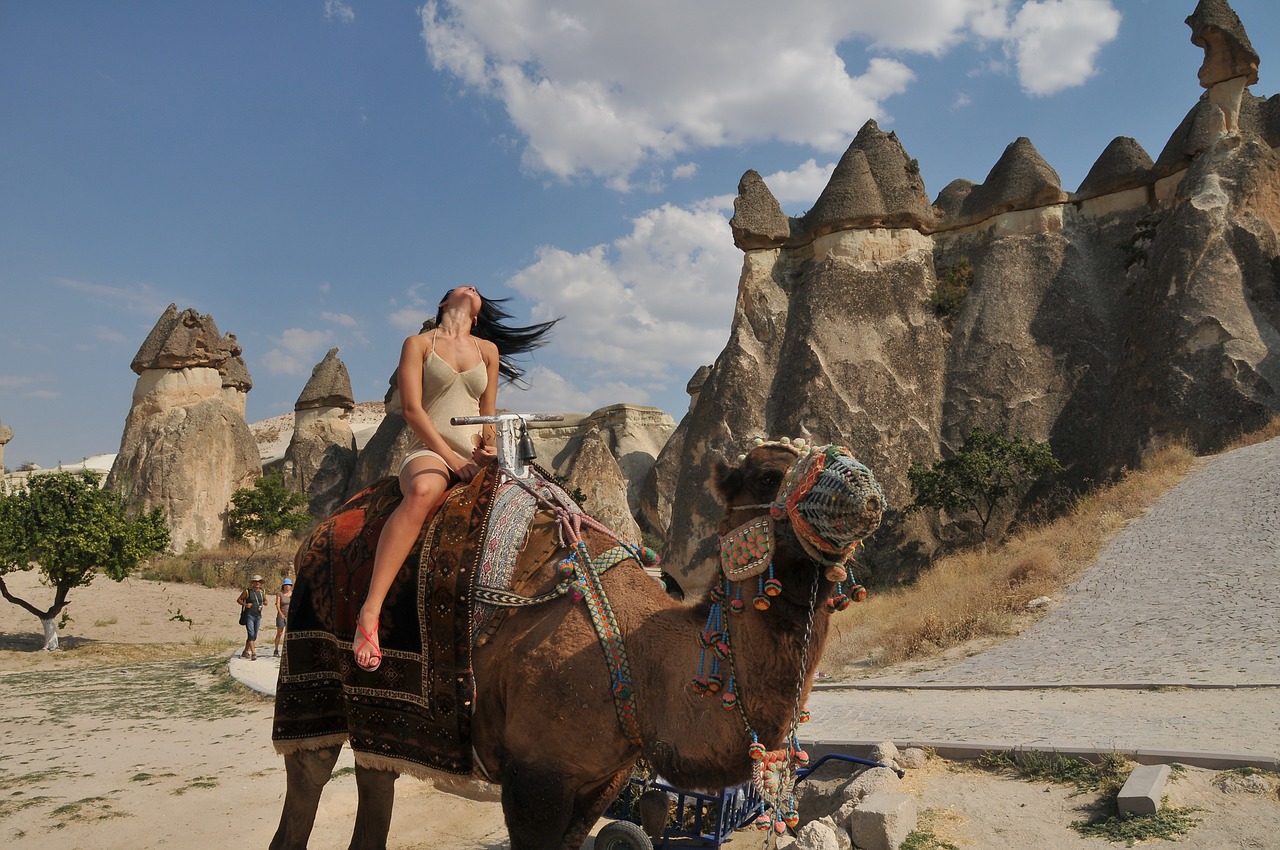 camel cappadocia tourist free photo