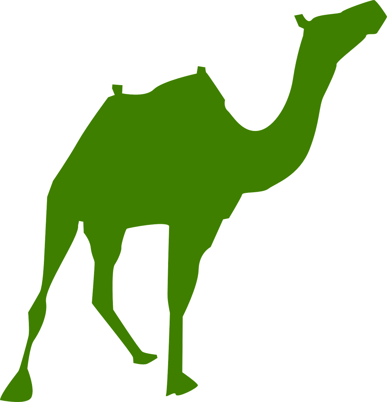 camel silhouette arabia free photo