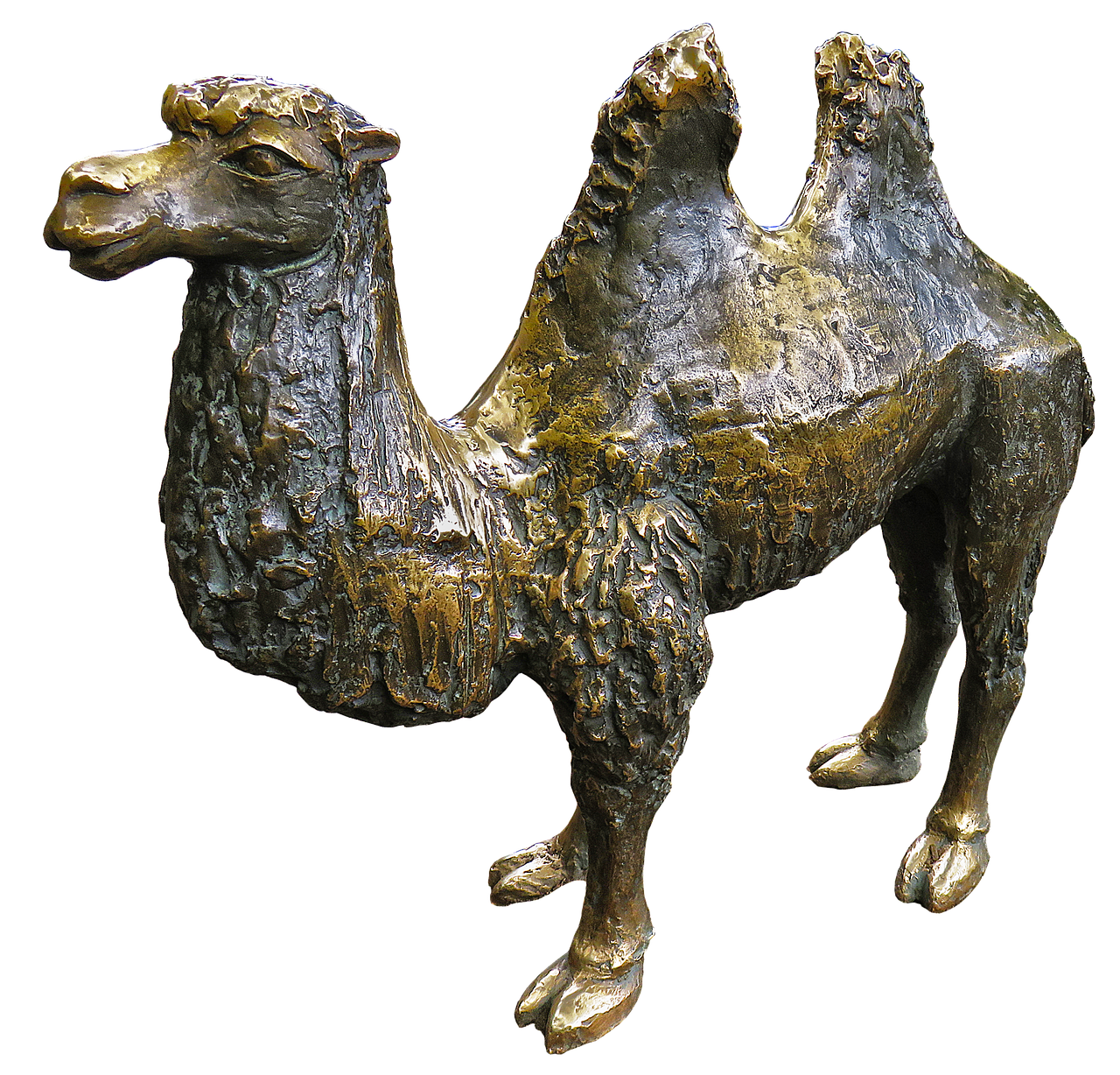 camel bronze statue animal figure free photo