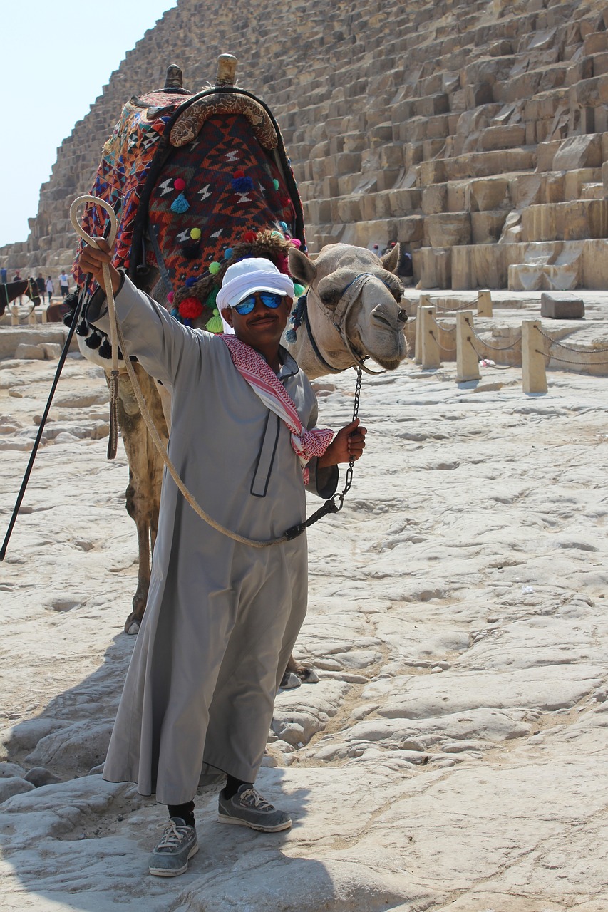 camel  gamal  desert free photo