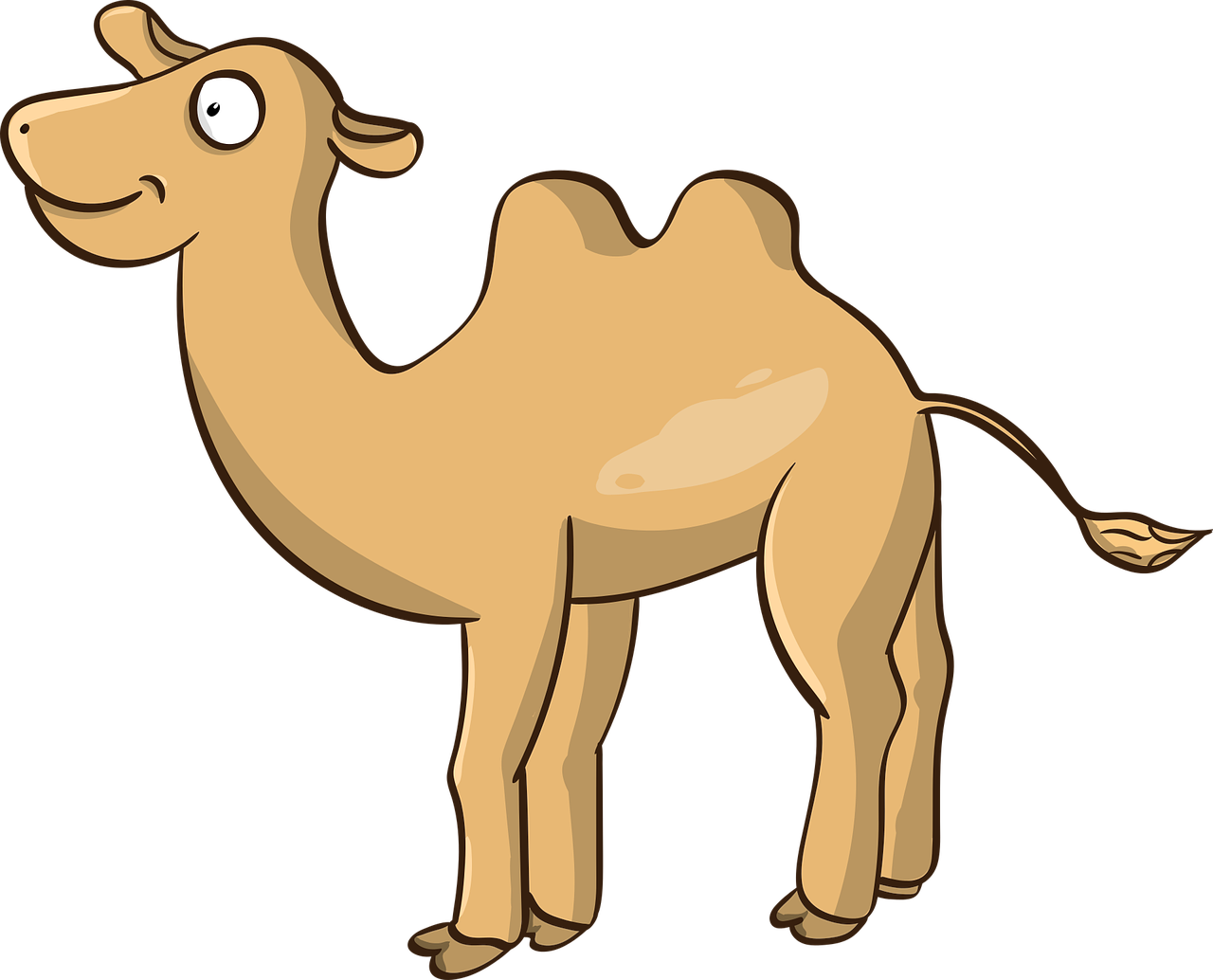 camel  the mehari  nar free photo
