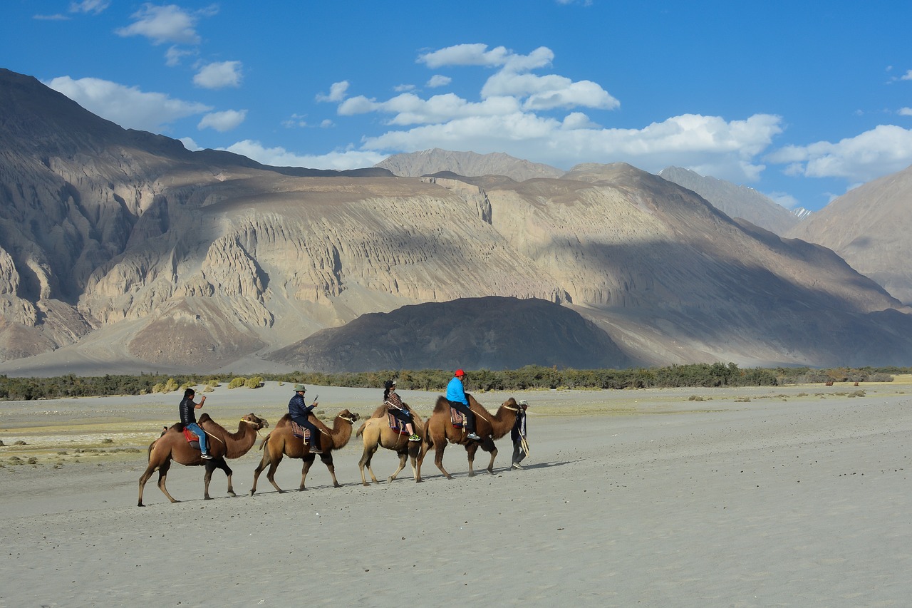 camel  valley  mountain free photo