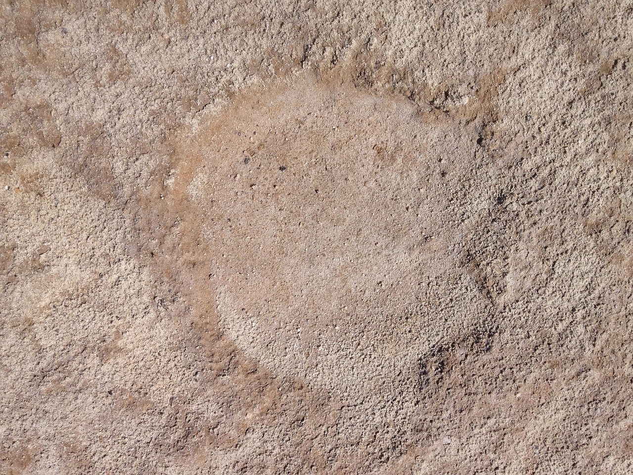 camel footprint sand free photo