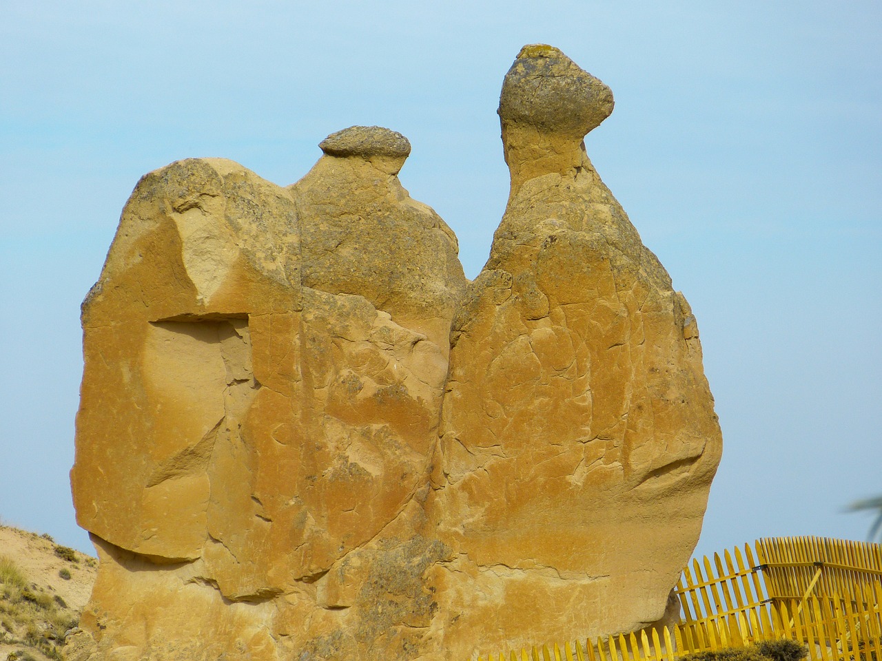 camel cappadocia tufa free photo