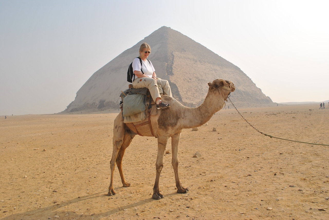 camel pyramids tourist information free photo