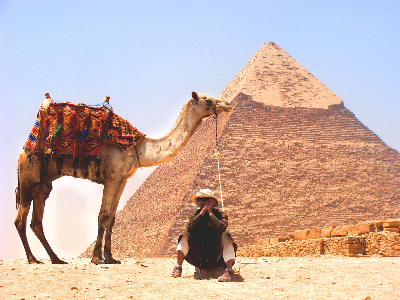 camel desert pyramid free photo