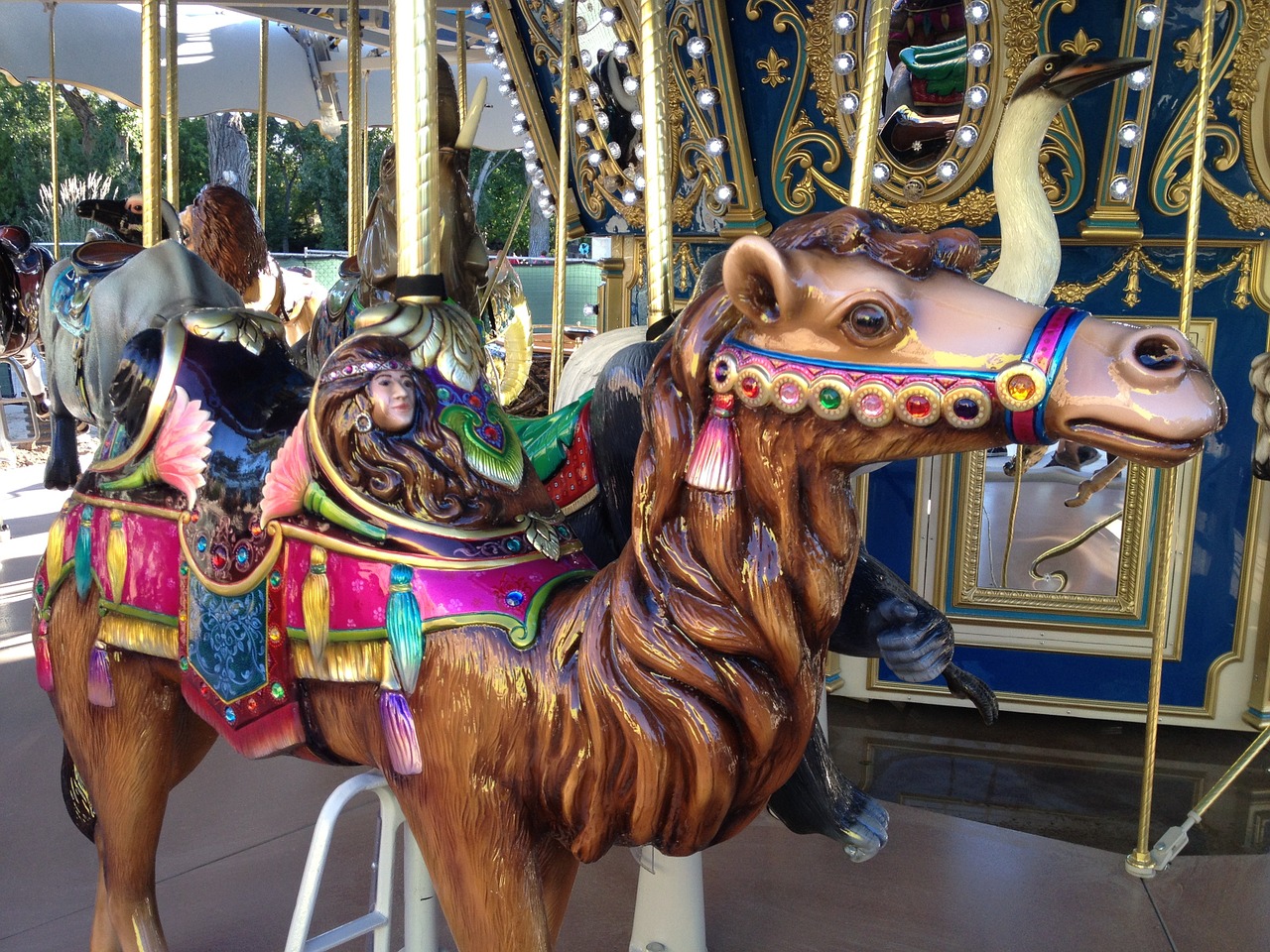 camel carousel fair free photo