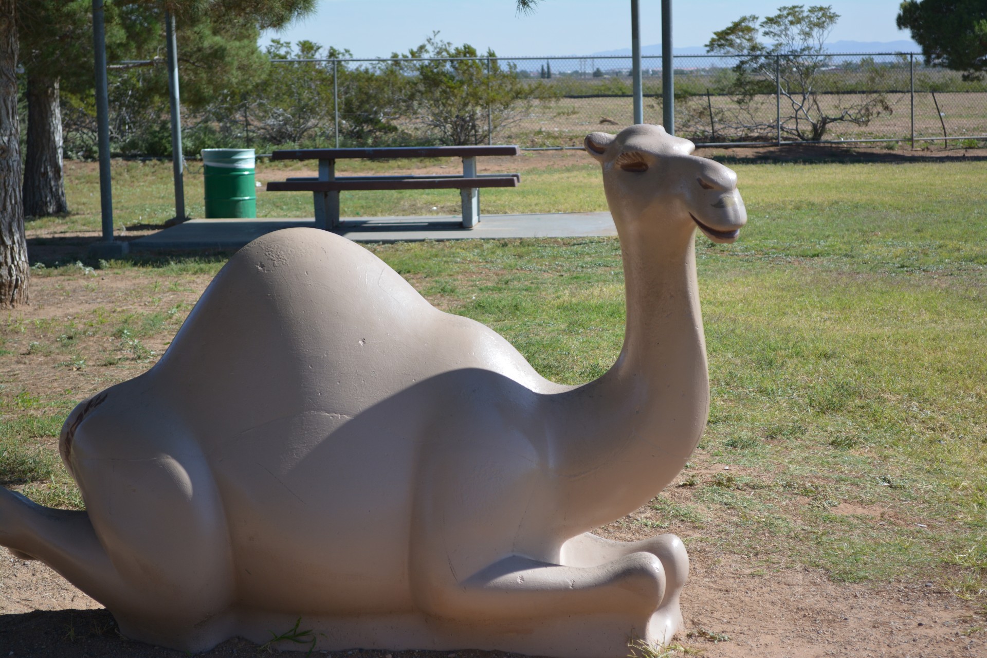 park camel toy free photo
