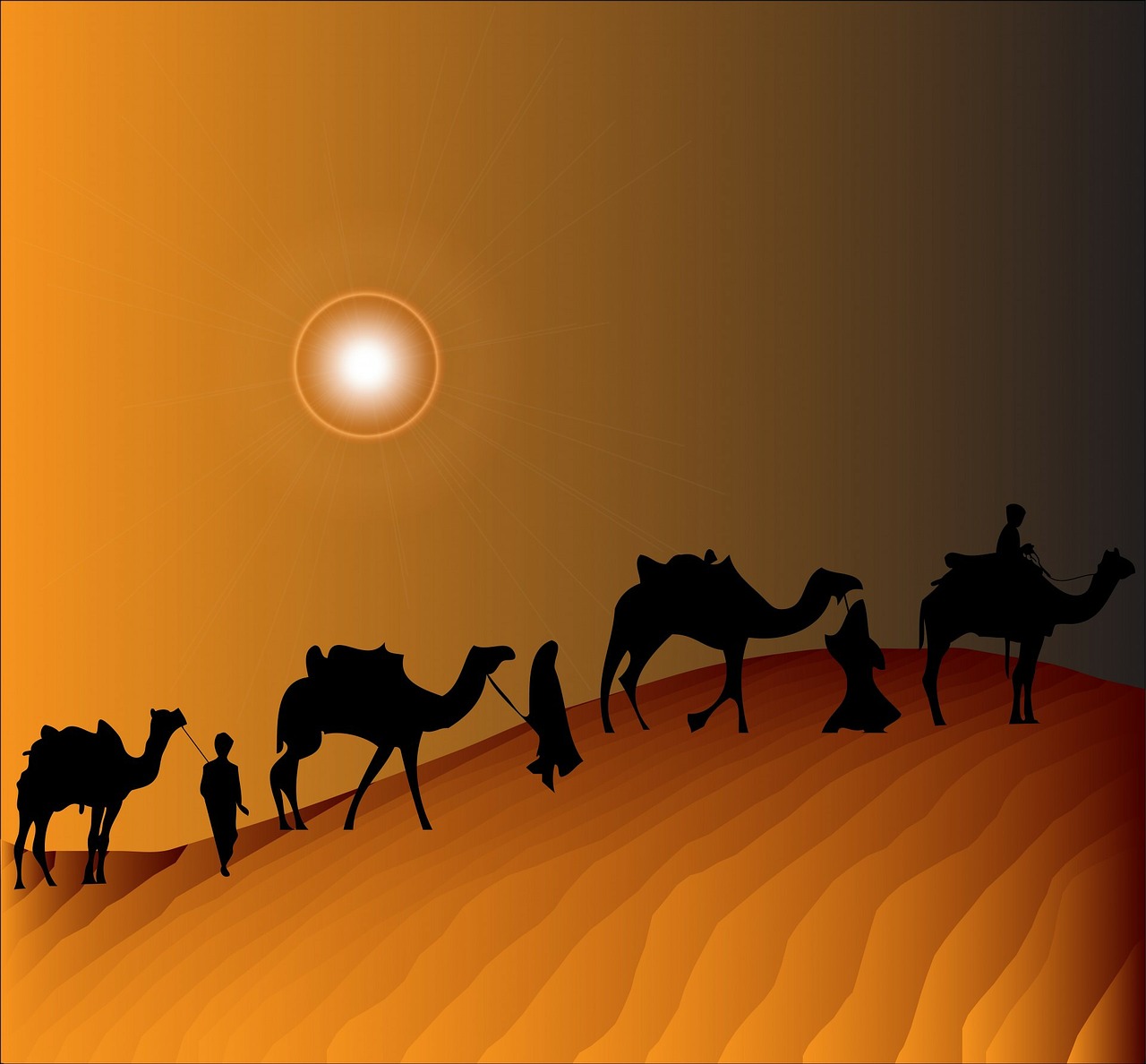 camel train camel camels free photo