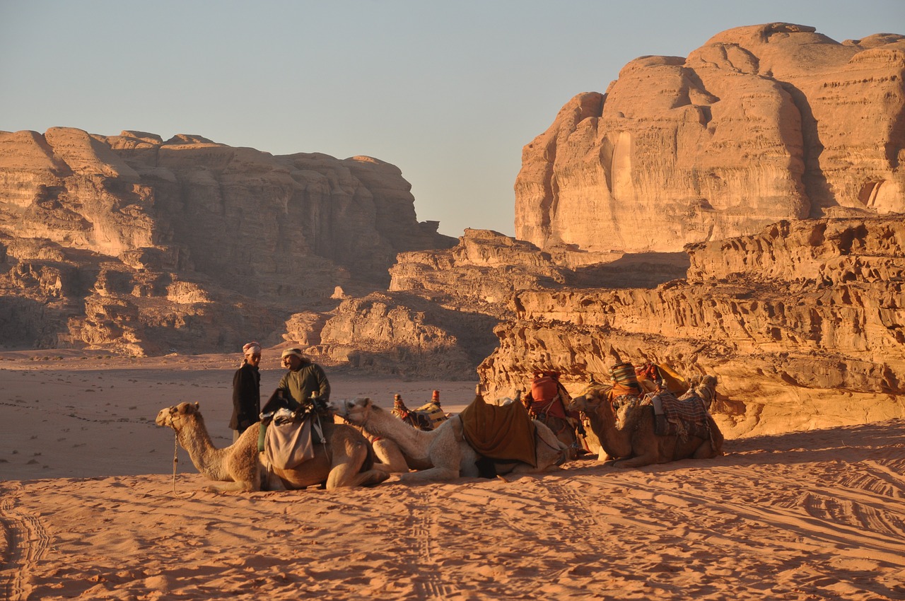 camels bedouins wadi rum free photo