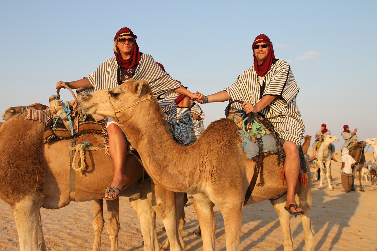 camels desert journey free photo