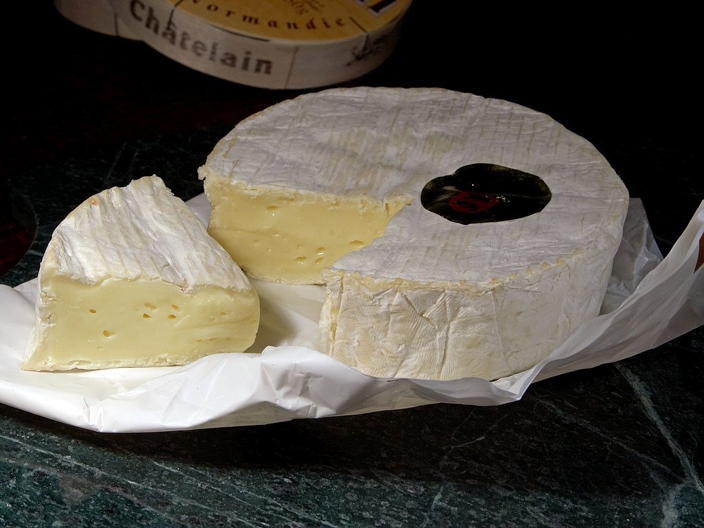 camembert cheese milk product free photo